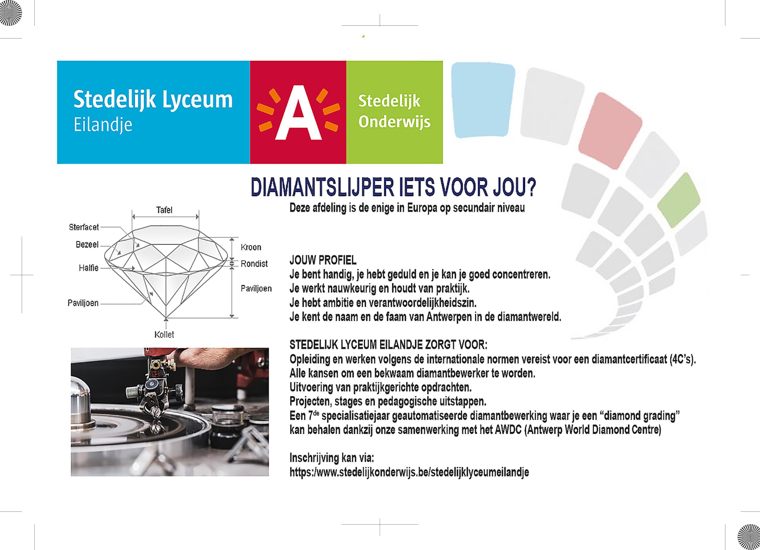 Diamantslijper iets voor jou?